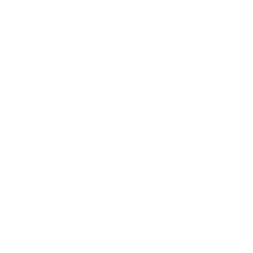 Desenvolvedor especialista wordpress para agências e empresas