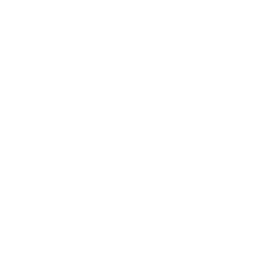 Desenvolvedor especialista wordpress para agências e empresas